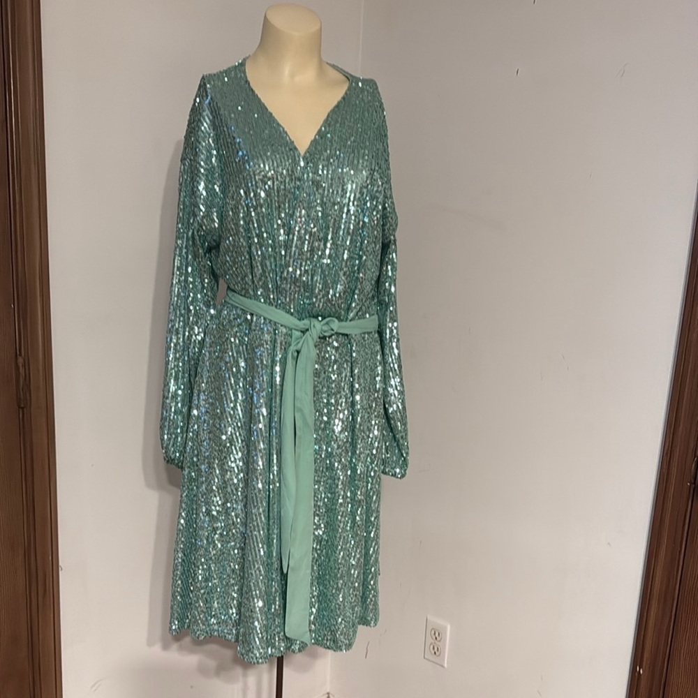 Beautiful Sequin Dress